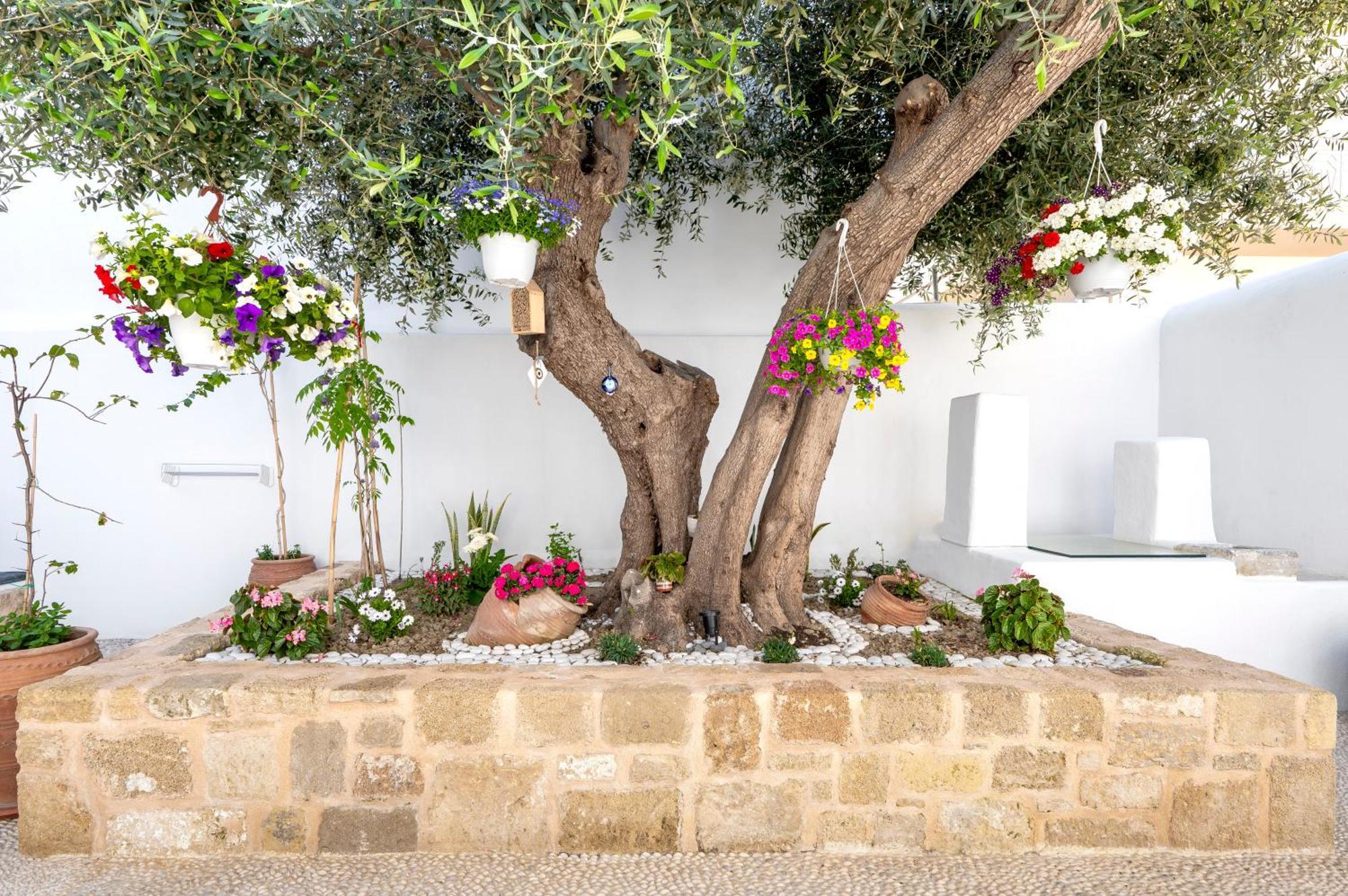 Villa Del Capo Suites Rhodes City Kültér fotó